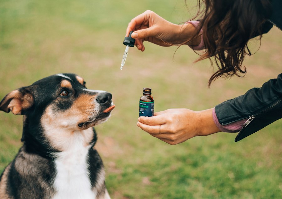 vape starter bundle