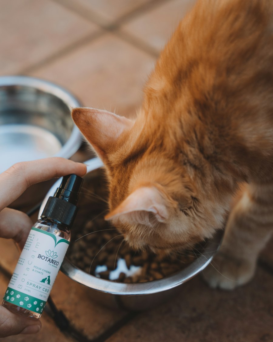 nicotine salt juice