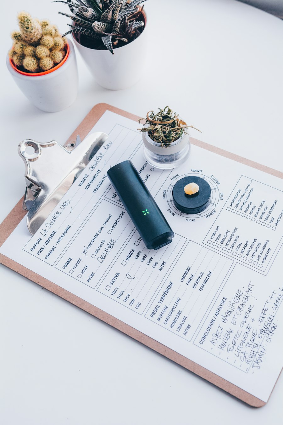 vape charger