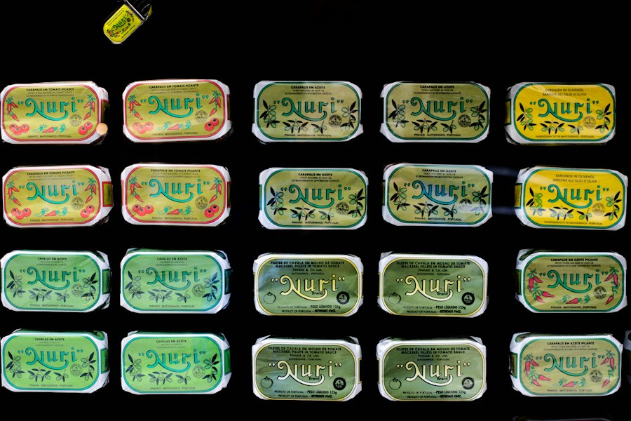 vape travel case