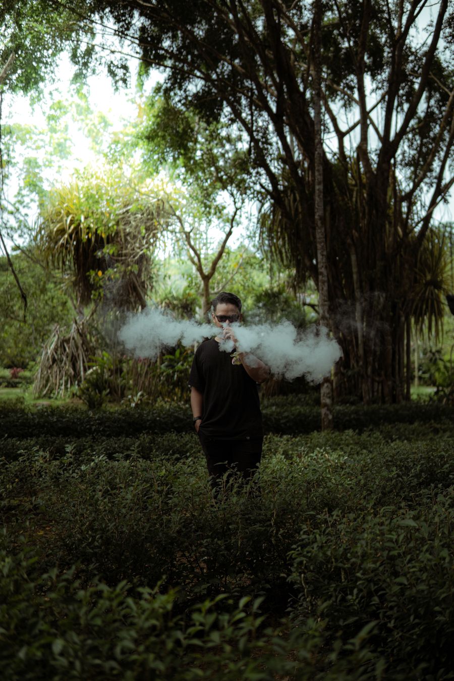vape cotton